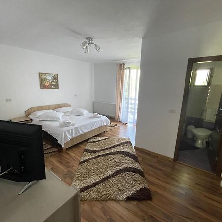 Casa Viorica Hotel Borsa Kültér fotó
