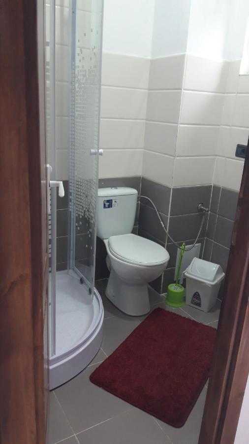 Casa Viorica Hotel Borsa Kültér fotó