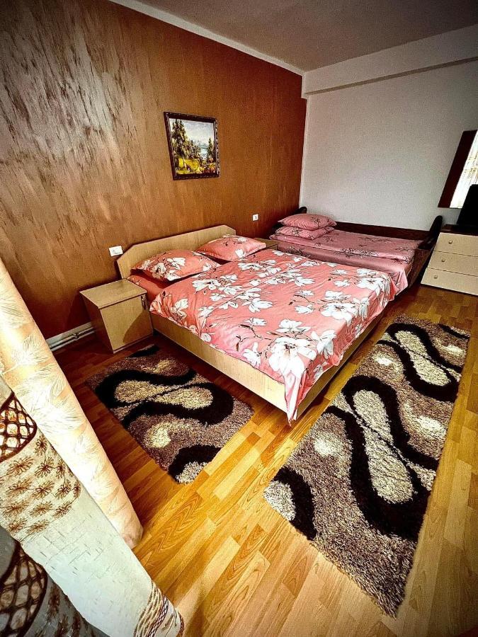 Casa Viorica Hotel Borsa Kültér fotó