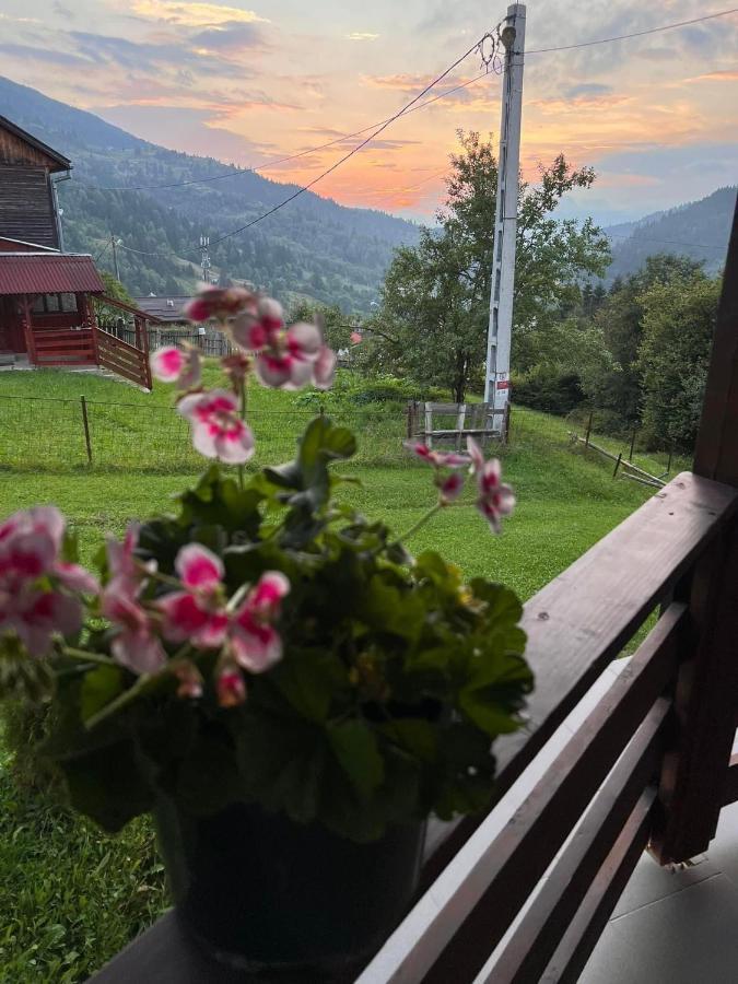 Casa Viorica Hotel Borsa Kültér fotó