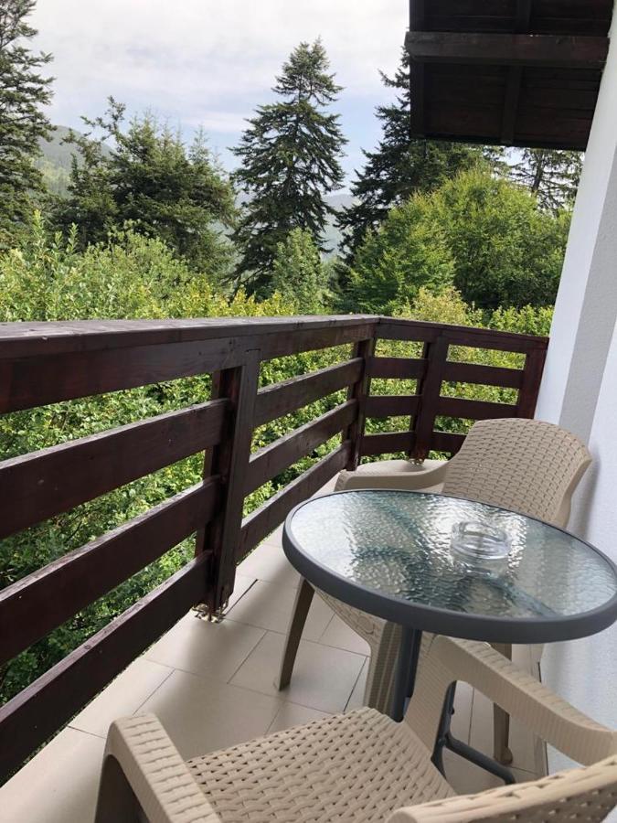 Casa Viorica Hotel Borsa Kültér fotó