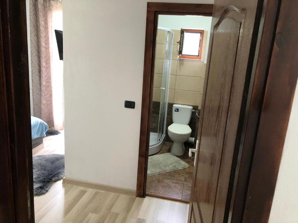 Casa Viorica Hotel Borsa Kültér fotó