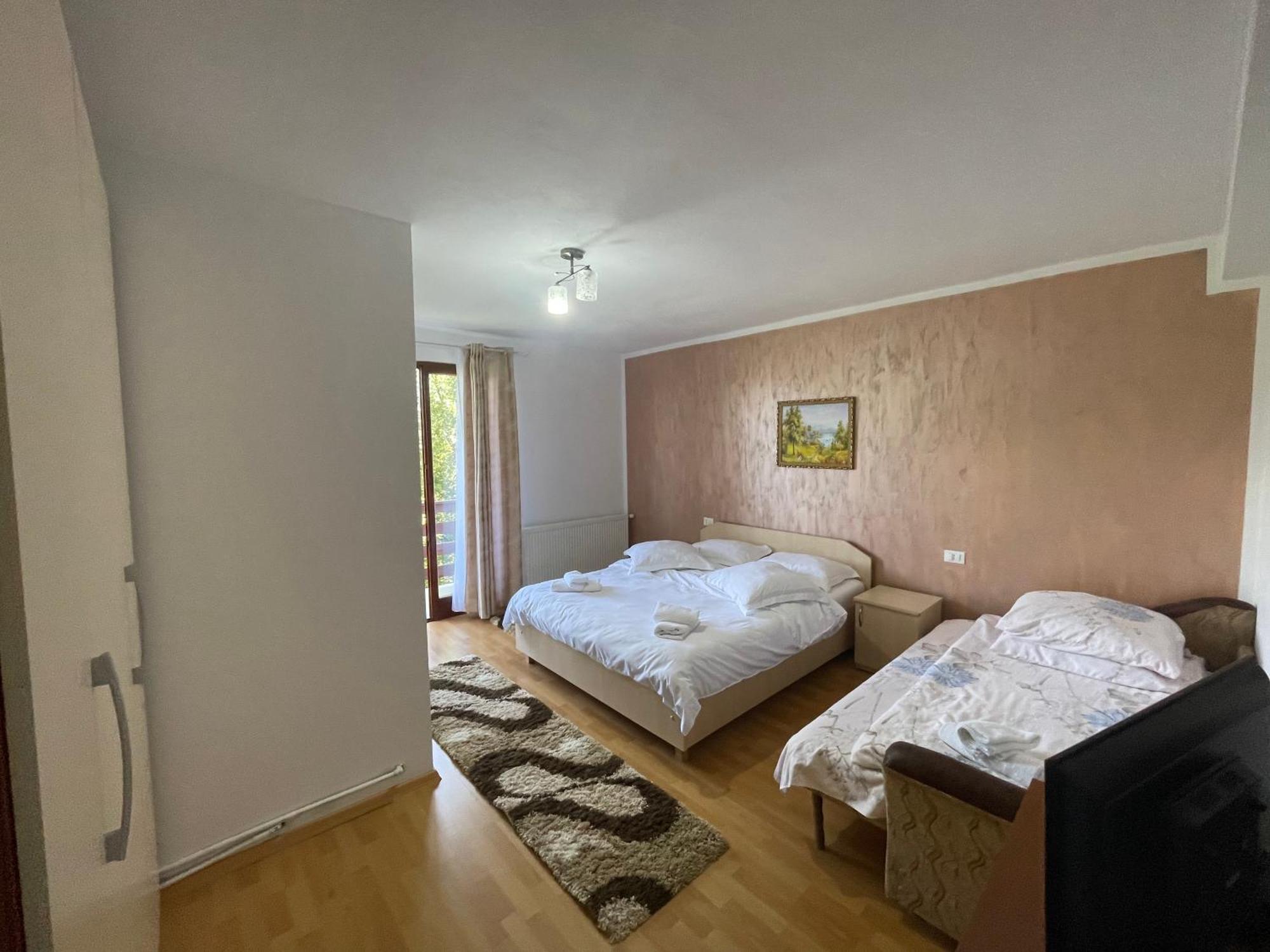 Casa Viorica Hotel Borsa Kültér fotó