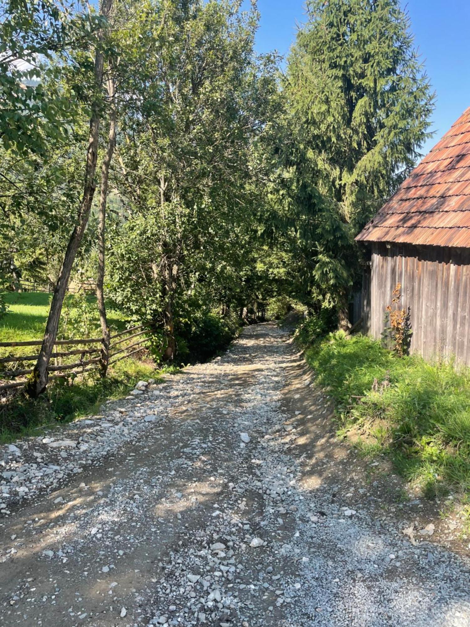 Casa Viorica Hotel Borsa Kültér fotó